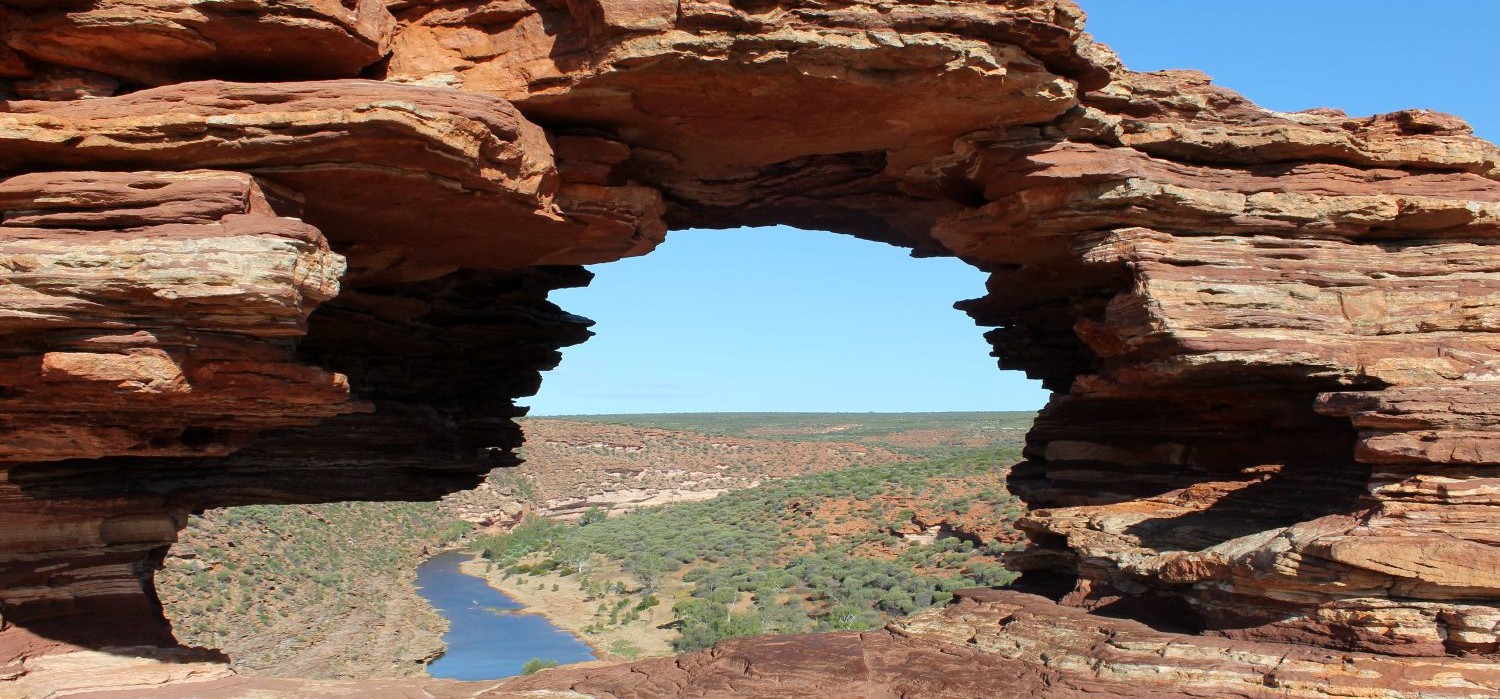Nature's Window